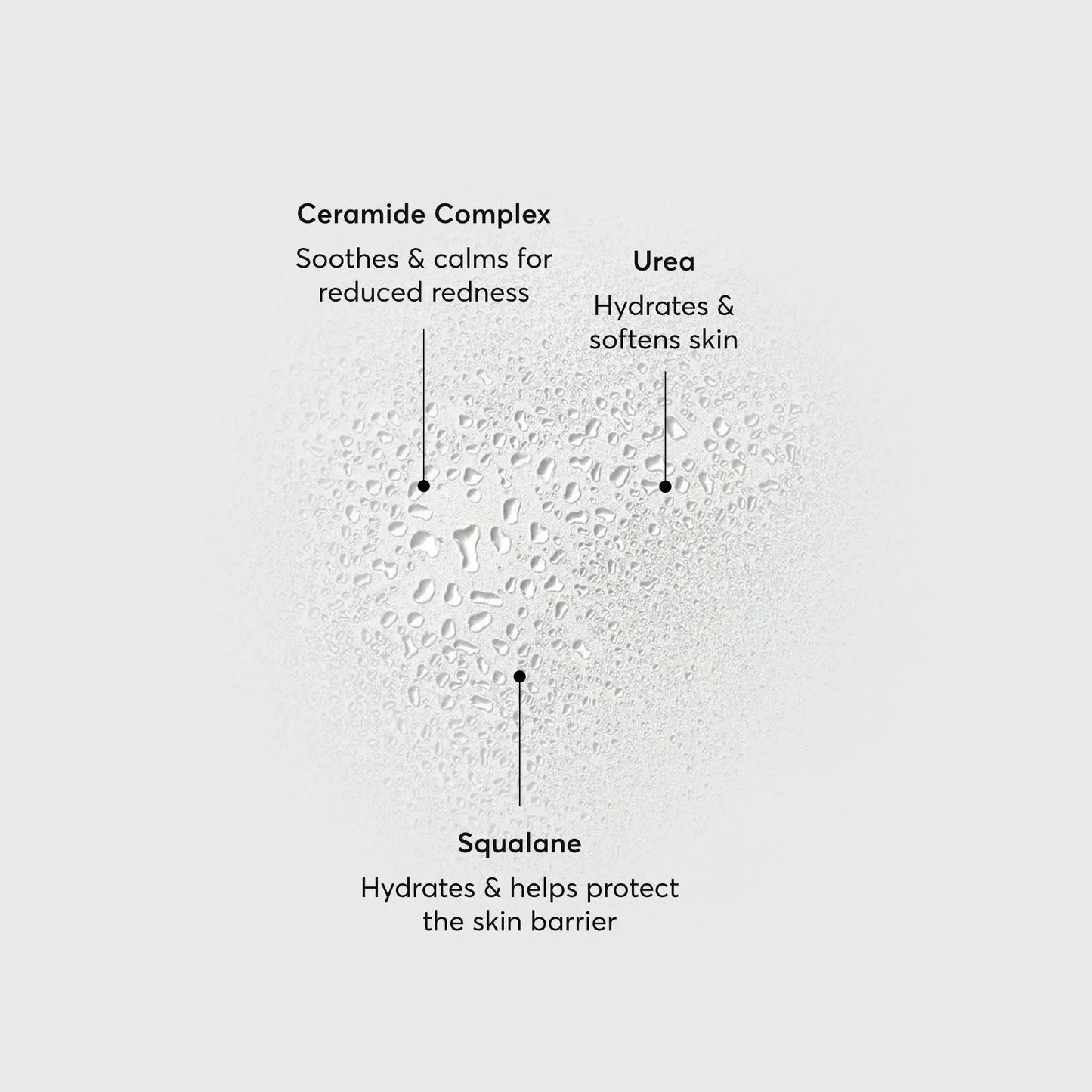 barrier-bounce-bi-phase-mist-s6 NATR-10167-Alt-Images-Barrier-Bounce-Bi-Phase-Toner-Mist_01.webp