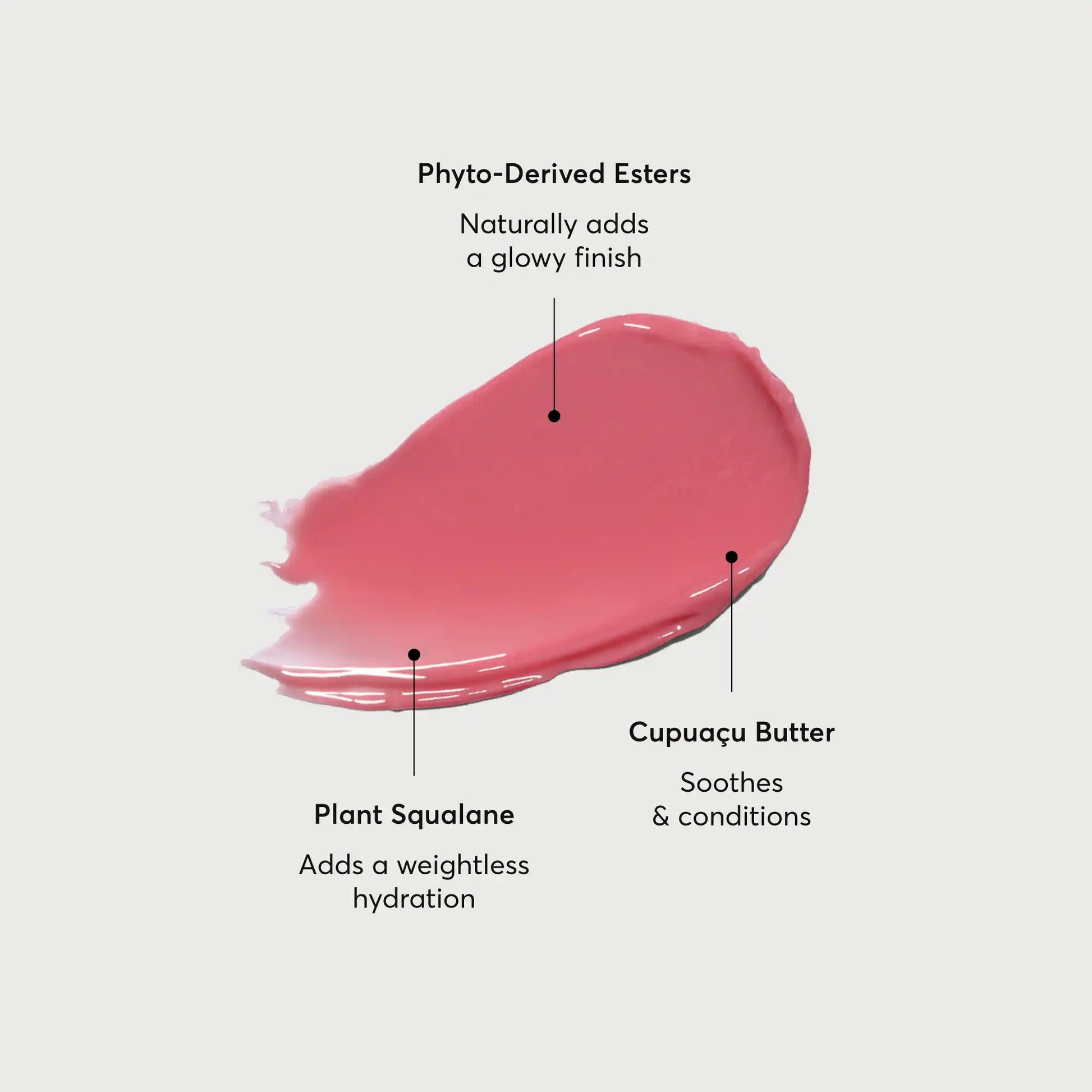 phyto-glow-lip-balm-petal-j9 NATR-60067-Alt-Images-Phyto-Glow-Lip-Balm-Petal-01.webp